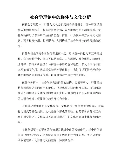 社会学理论中的群体与文化分析