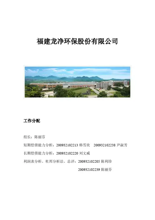 福建龙净财务报告
