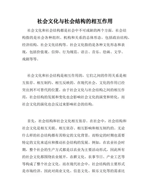 社会文化与社会结构的相互作用
