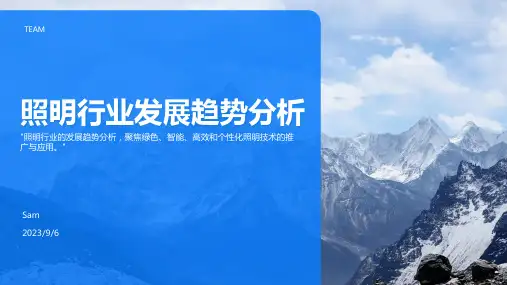 2023年照明行业分析