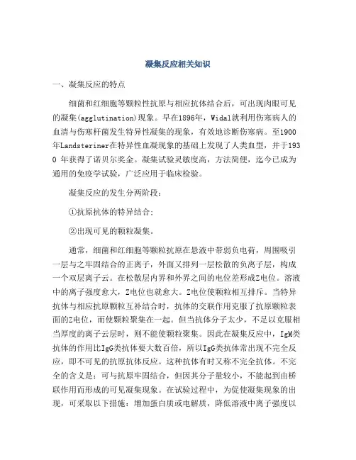 凝集反应相关知识