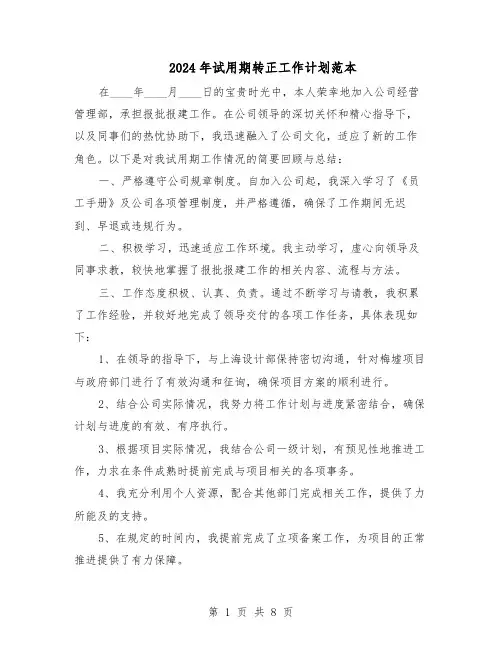 2024年试用期转正工作计划范本（六篇）