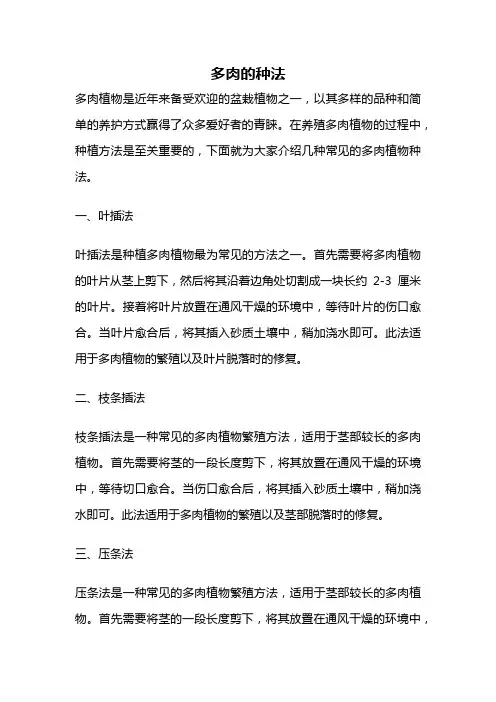 多肉的种法