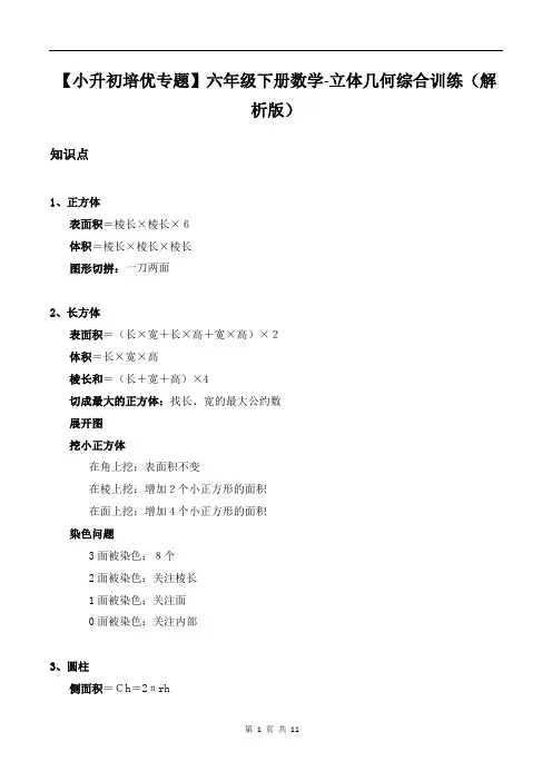 【小升初培优专题】六年级下册数学-立体几何综合训练(解析版)