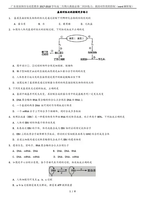 广东省深圳市乐而思教育2017-2018学年高二生物人教版必修二同步练习：基因对性状的控制(word