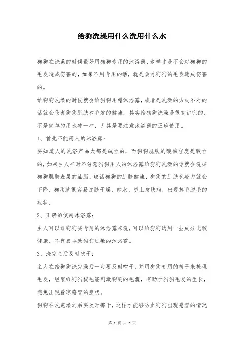 给狗洗澡用什么洗用什么水