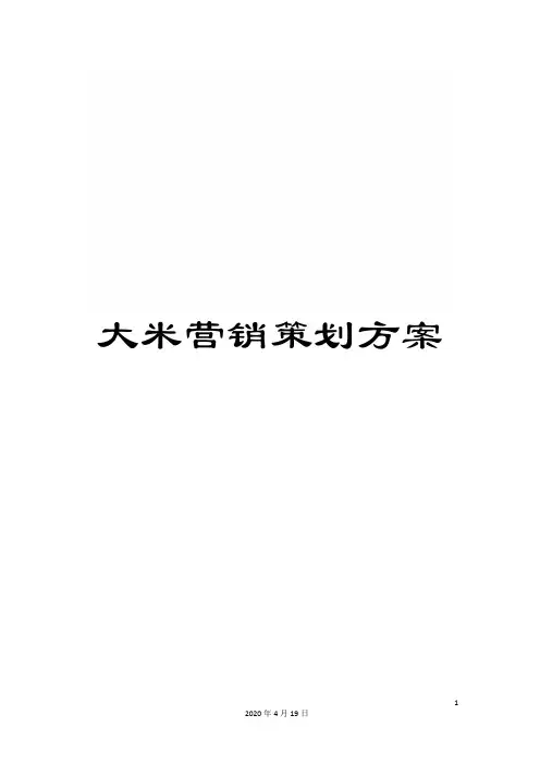 大米营销策划方案