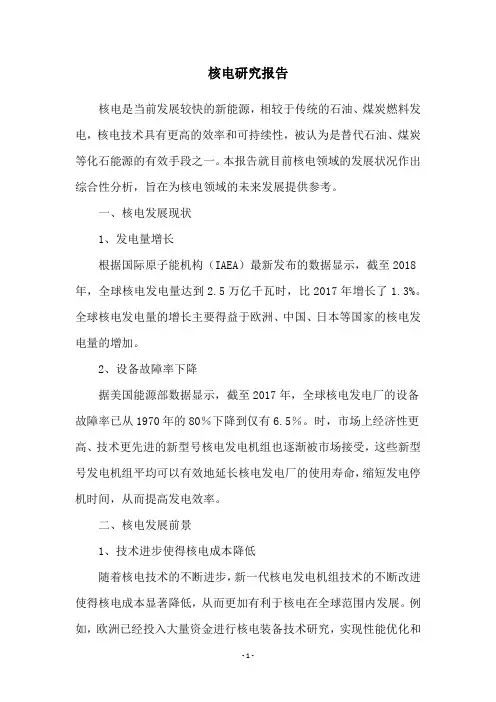核电研究报告