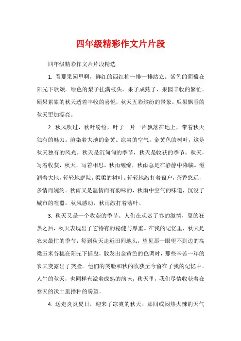四年级精彩作文片片段