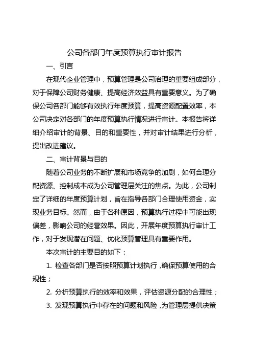 公司各部门年度预算执行审计报告