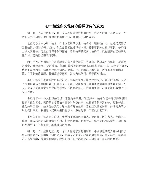 初一精选作文他努力的样子闪闪发光