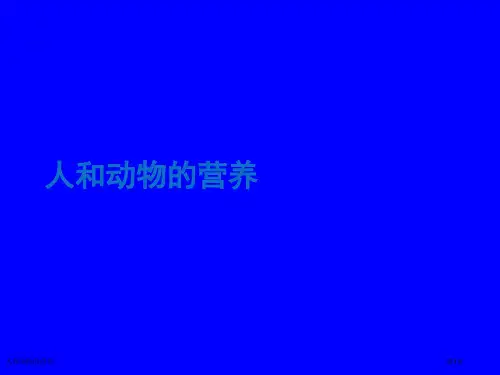 人和动物的营养