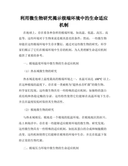 利用微生物研究揭示极端环境中的生命适应机制