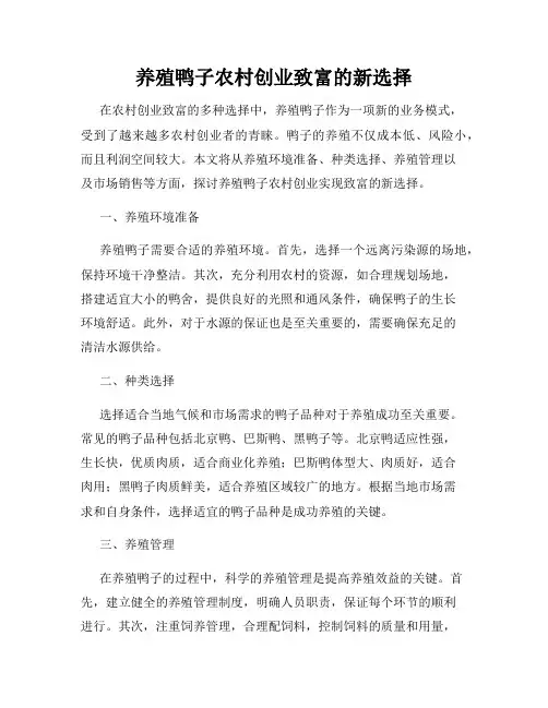 养殖鸭子农村创业致富的新选择