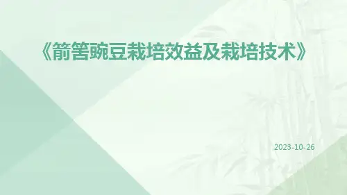 箭筈豌豆栽培效益及栽培技术