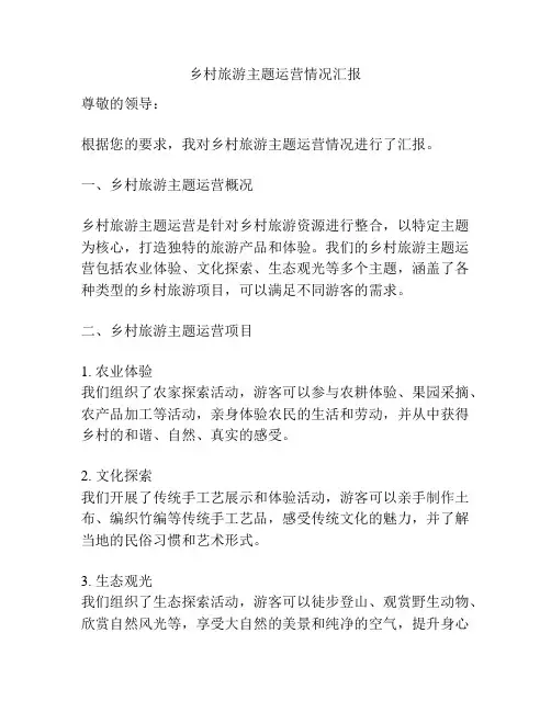 乡村旅游主题运营情况汇报