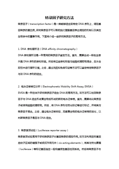 转录因子研究方法