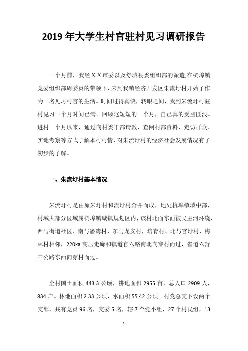 2019年大学生村官驻村见习调研报告