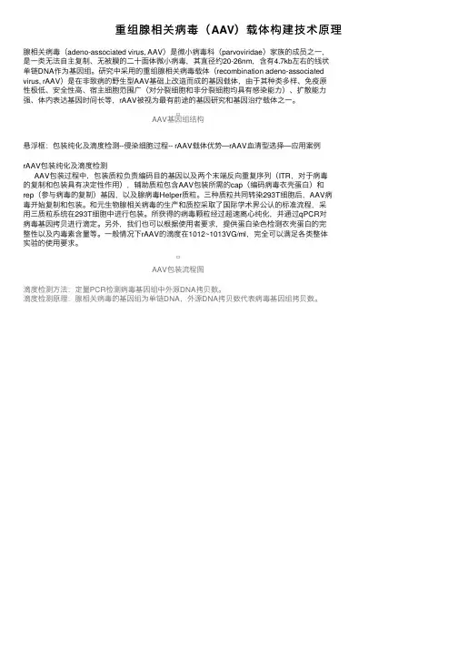重组腺相关病毒（AAV）载体构建技术原理