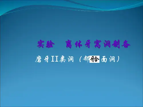 牙体牙髓病学：离体牙234窝洞制备PPT