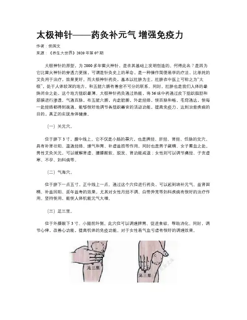 太极神针——药灸补元气 增强免疫力
