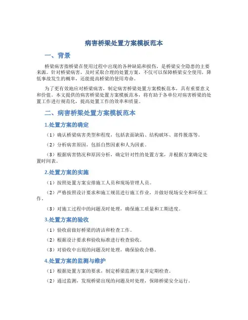 病害桥梁处置方案模板范本