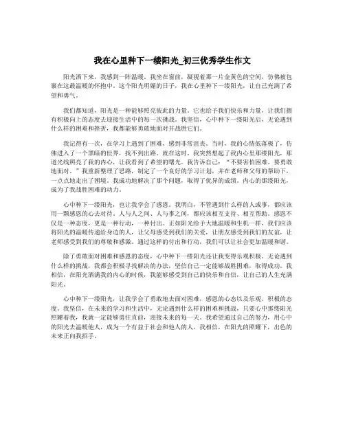 我在心里种下一缕阳光_初三优秀学生作文