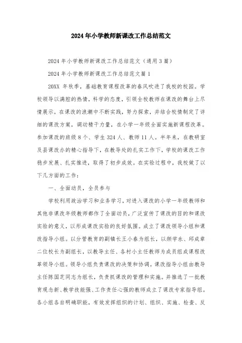 2024年小学教师新课改工作总结范文