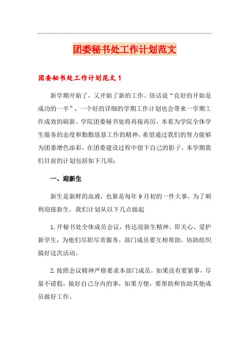 团委秘书处工作计划范文