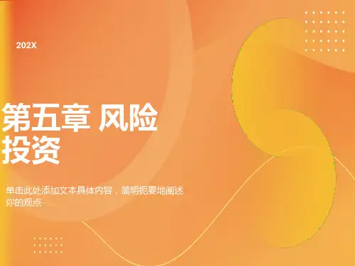 中小企业融资第5章风险投资