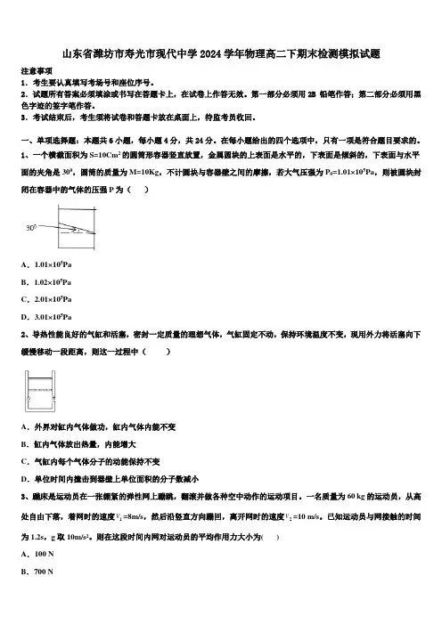 山东省潍坊市寿光市现代中学2024学年物理高二下期末检测模拟试题(含解析)