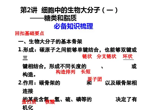 细胞中的生物大分子糖类和脂质公开课一等奖课件省赛课获奖课件
