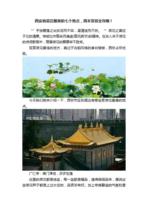 西安看荷花最美的七个地点，周末赏荷全攻略！
