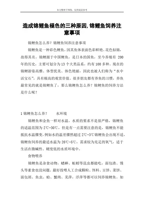 造成锦鲤鱼褪色的三种原因,锦鲤鱼饲养注意事项