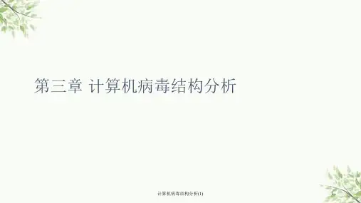 计算机病毒结构分析(1)ppt课件