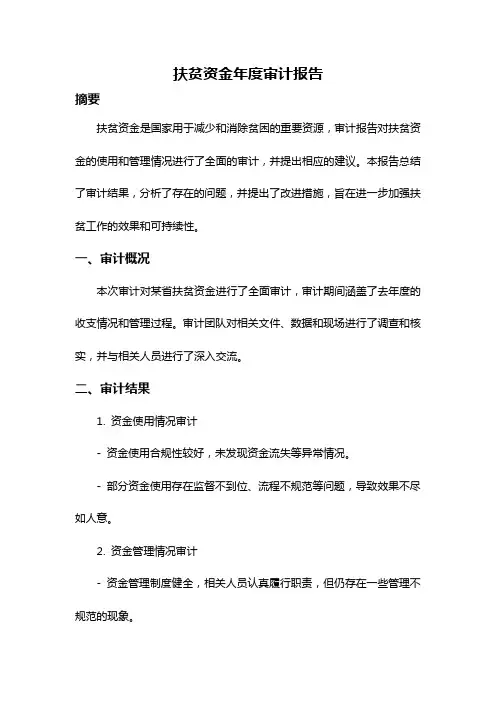 扶贫资金年度审计报告