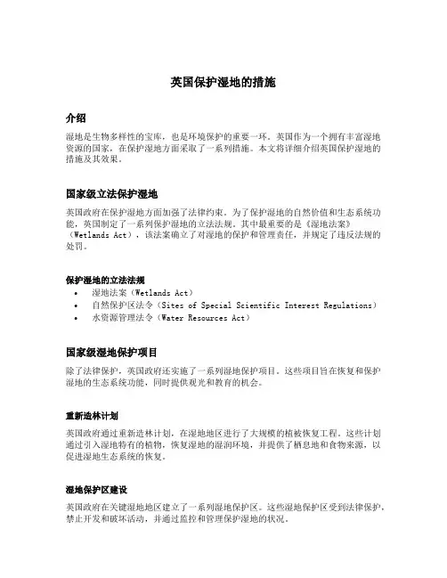 英国保护湿地的措施