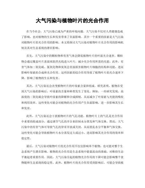 大气污染与植物叶片的光合作用
