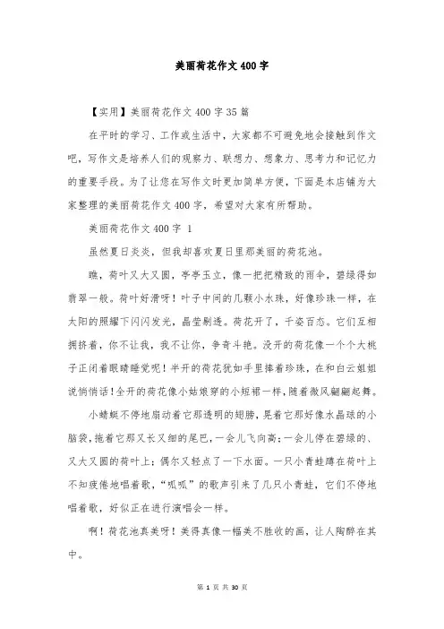 美丽荷花作文400字
