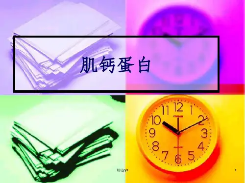 肌钙蛋白PPT课件