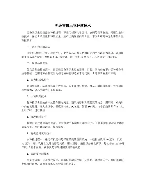 无公害黑土豆种植技术