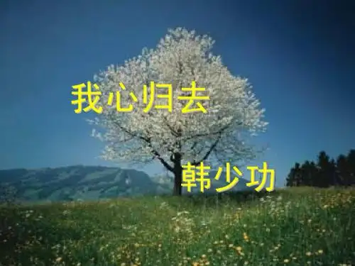 《我心归去》