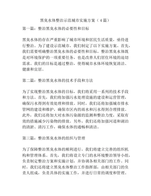 黑臭水体整治示范城市实施方案(4篇)