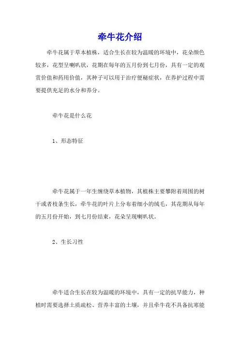 牵牛花介绍