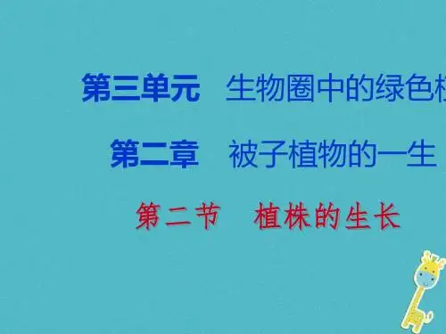 第二节植株的生长课件(共18张PPT)