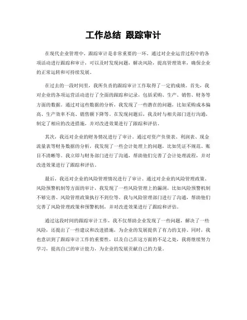 工作总结 跟踪审计