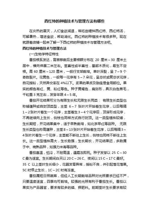 西红柿的种植技术与管理方法有哪些