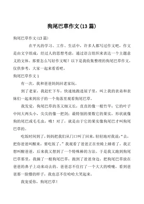 狗尾巴草作文(13篇)