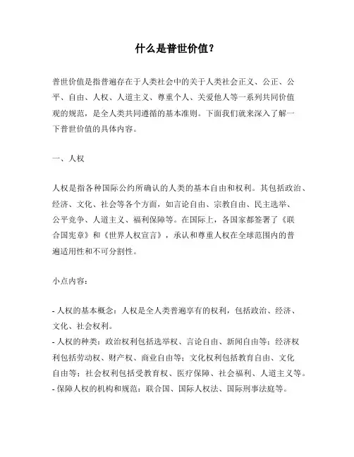 什么是普世价值？