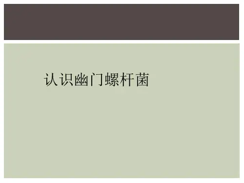 认识幽门螺杆菌